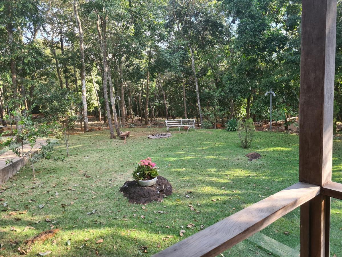 Bosque Sao Francisco